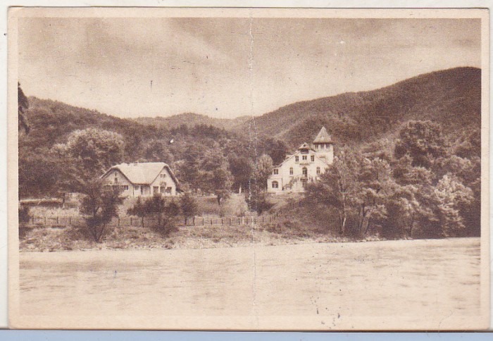 bnk cp Caciulata - Tabara pionierilor - uzata - Libraria Noastra
