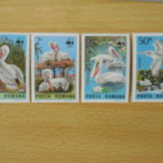 Serie timbre romanesti pasari nestampilate Romania MNH