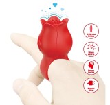 Mini Vibrator Jae, 10 Moduri Vibratii, Silicon, Incarcare Magnetica, Rosu