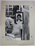 FOTOGRAFIA UNUI EROU AL REVOLUTIEI DIN DECEMBRIE 1989 , EXPUSA LA LOCUL IN CARE ACESTA A FOST UCIS , FOTOGRAFIE , 1990
