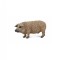 Figurina Porc Unguresc M Collecta