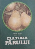 Carte Cultura parului - Braniste Nicolae