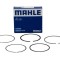 Mahle Set segmenti piston