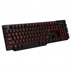 Tastatura Gaming USB iluminata Hunter Esperanza, Negru foto