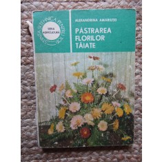 Alexandrina Amariutei - Pastrarea florilor taiate