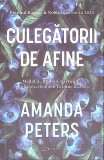 Culegatorii de Afine - Amanda Peters, Bookzone, 2024, Roman, Paperback, 350 pagini