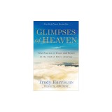 Glimpses of Heaven: True Stories of Hope and Peace at the End of Life's Journey