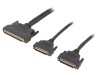 Cablu de conexiune SCSI 100pin la SCSI 50pin 2m