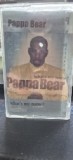 Caseta audio Papa Bear