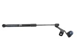 Amortizor capota st&acirc;nga față TESLA MODEL 3 2020 OEM: 1091472-00-B 23954468