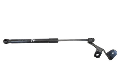 Amortizor capota st&amp;acirc;nga față TESLA MODEL 3 2020 OEM: 1091472-00-B | 23954468 foto