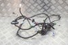 Cablaj ușă dreapta spate TESLA MODEL S 2017 OEM: 1004426-00-R 12523734