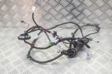 Cablaj ușă dreapta spate TESLA MODEL S 2017 OEM: 1004426-00-R 12523734