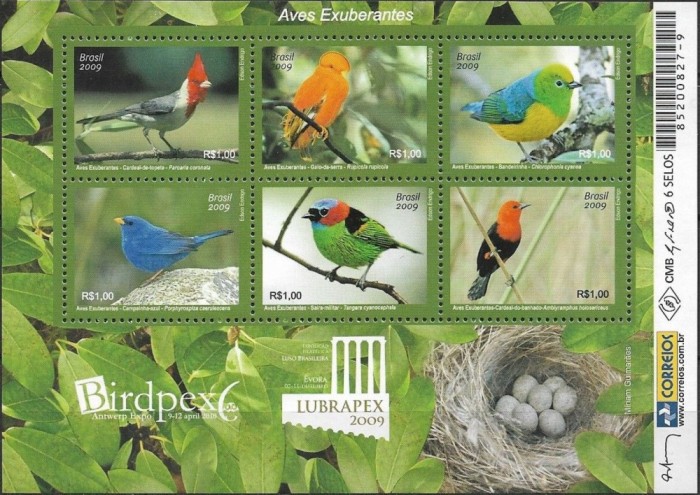 BRAZILIA 2000 FAUNA PASARI