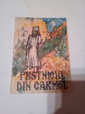 PUSTNICUL DIN CARMEL ~ DR.V. B foto