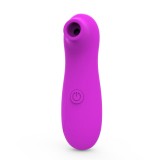 Cumpara ieftin Loving Joy 10 Function Clitoral Suction Vibrator