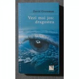 VEZI MAI JOS: DRAGOSTEA - DAVID GROSSMAN