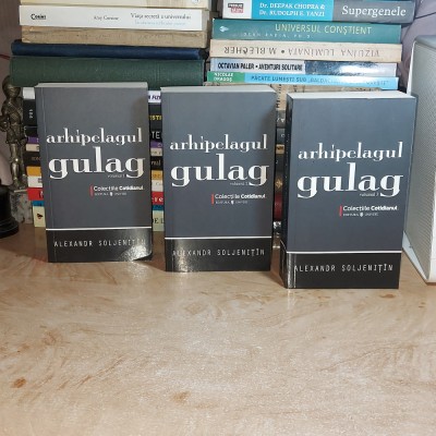 ALEXANDR SOLJENITIN - ARHIPELAGUL GULAG ( 3 VOL ) , 2008 # foto