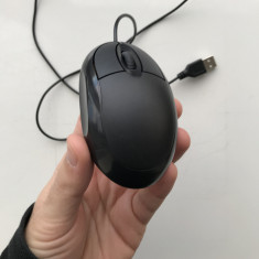 Mouse Optic Pentru Laptop (dimensiuni reduse, cablu 100cm)