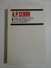 A.P. CEHOV - Vol. 4 CRIZA DE NERVI; STEPA; O POVESTE BANALA SI ALTE POVESTIRI - foto