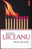 EFECTUL DE UNDA-AURORA LIICEANU-278487