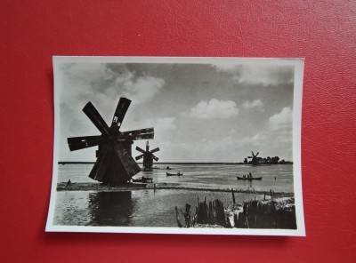 CARTE POSTALA - RPR - MORI DE VANT LA LETEA foto