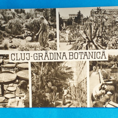 Carte Postala circulata veche RPR - Cluj - Gradina Botanica