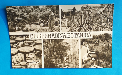 Carte Postala circulata veche RPR - Cluj - Gradina Botanica foto