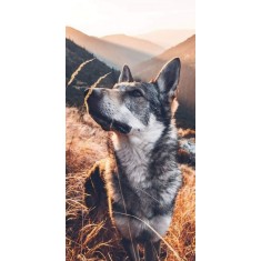 Husa Personalizata ALLVIEW A5 Quad Plus Dog