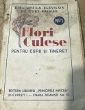 0001R.Flori culese pentru copii si tineret, edt Principele Mircea