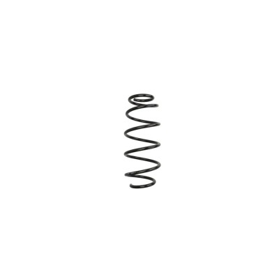 Arc spiral CITROEN C4 Picasso I UD Magnum Technology foto
