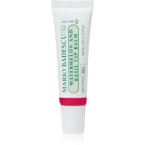 Mario Badescu Watermelon and Basil Lip Balm Balsam de buze hidratant 10 g