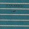 Poezii (G. Calinescu)