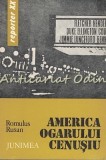 Cumpara ieftin America Ogarului Cenusiu - Romulus Rusan, Editura Junimea, 1979, Roman