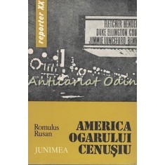 America Ogarului Cenusiu - Romulus Rusan