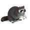 PAPO FIGURINA RATON