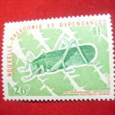 Timbru- Insecte 1977 Noua Caledonie colonie franceza (teritoriu)