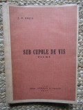 I. M. RASCU - SUB CUPOLE DE VIS 1913