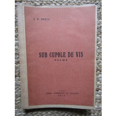 I. M. RASCU - SUB CUPOLE DE VIS 1913