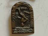 insigna veche cu patina timpului