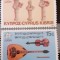 Cipru 1985 Euopa Cept instrumente muzicale , vioara , mandolina, 2V. mnh