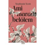 Ami maradt belőlem - Stephanie Scott