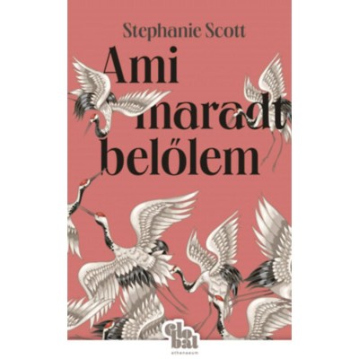 Ami maradt belőlem - Stephanie Scott foto