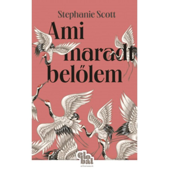 Ami maradt belőlem - Stephanie Scott