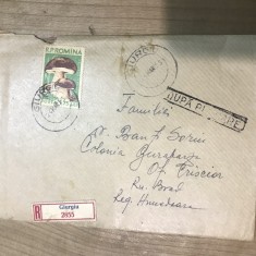 OPI Intreguri Postale Straine ciperci