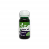 Colorant Alimentar Verde COSELI, 50ml, Colorant Verde, Colorant Verde pentru Mancare, Colorant Coseli, Colorant pentru Patiserie, Colorant Verde pentr