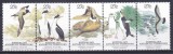 DB1 AAT Terit. Antarctice Australia 1983 Fauna Pasari Pinguini Foci 5 v. MNH