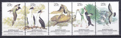 DB1 AAT Terit. Antarctice Australia 1983 Fauna Pasari Pinguini Foci 5 v. MNH foto