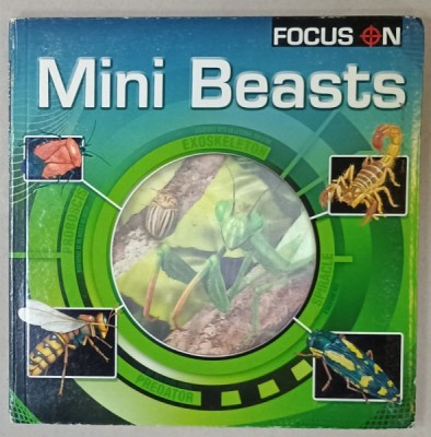 FOCUS ON MINI BEASTS , 2008 foto
