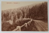 BORSEC , DRUM CU SERPENTINE , CARTE POSTALA ILUSTRATA , INTERBELICA